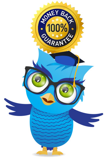 essay-owl-quality-paper-writing-money-back-guarantee