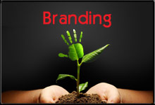 creative365 branding services